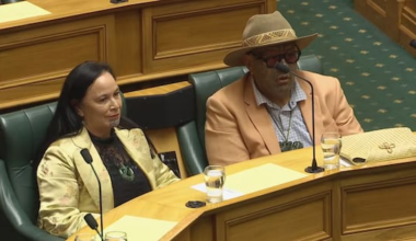 Former Te Pāti Māori leaders not prepared to walk away