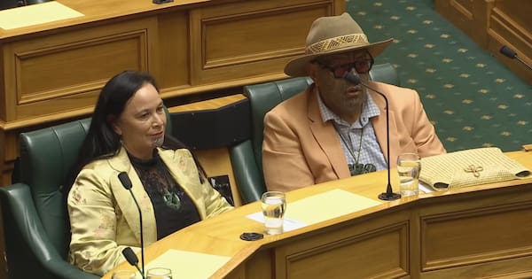 Former Te Pāti Māori leaders not prepared to walk away