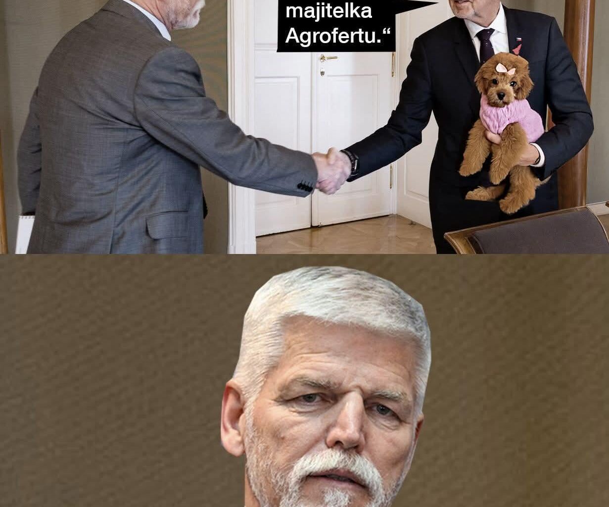 Sázky na to, že Gigi bude Babišovo řešení střetu zájmů?