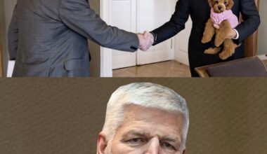 Sázky na to, že Gigi bude Babišovo řešení střetu zájmů?