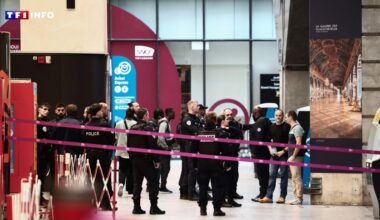 EN DIRECT - Homme armé d'un couteau neutralisé à la gare Montparnasse : 2 enquêtes ouvertes