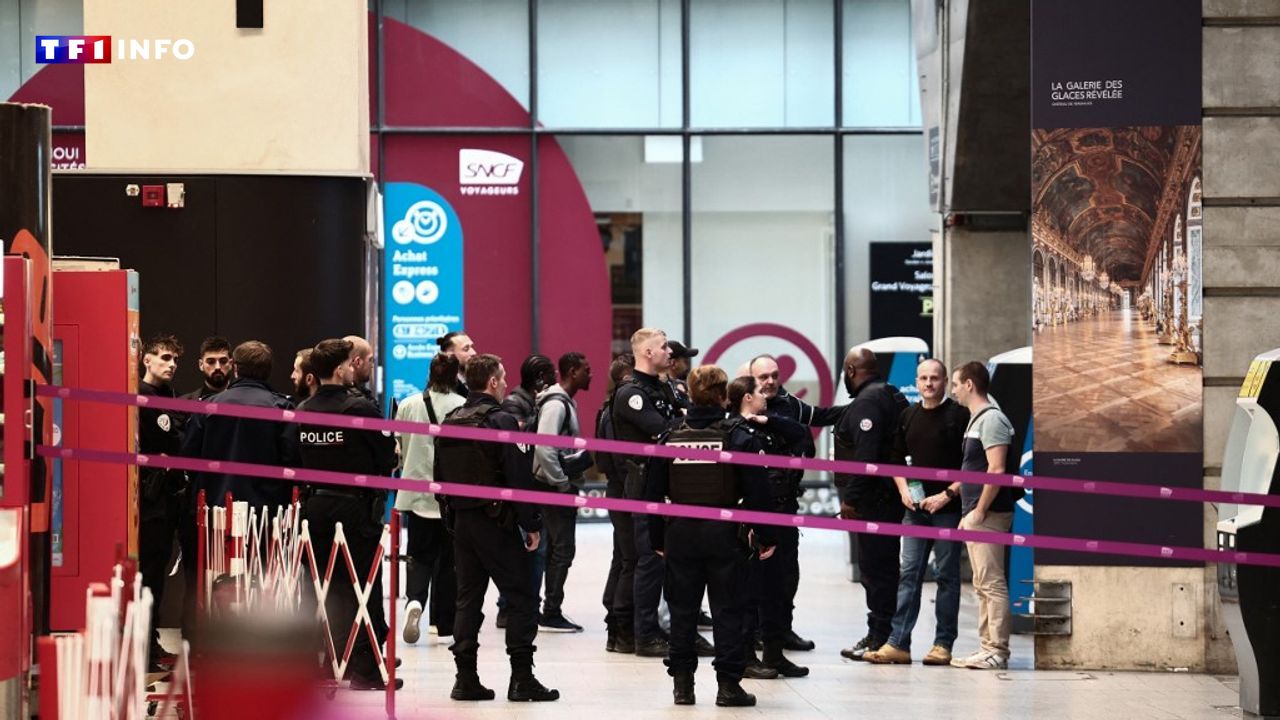 EN DIRECT - Homme armé d'un couteau neutralisé à la gare Montparnasse : 2 enquêtes ouvertes