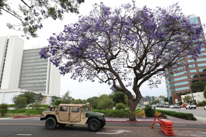 A California National Guard Humvee  outisde the federal building in Los Angeles on June 12.
