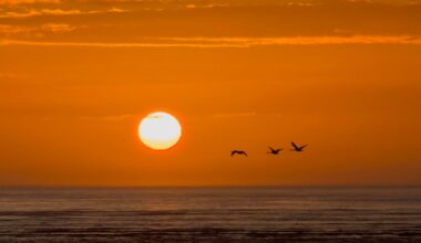 Sunset - Millennium Coastal Path - Llanelli