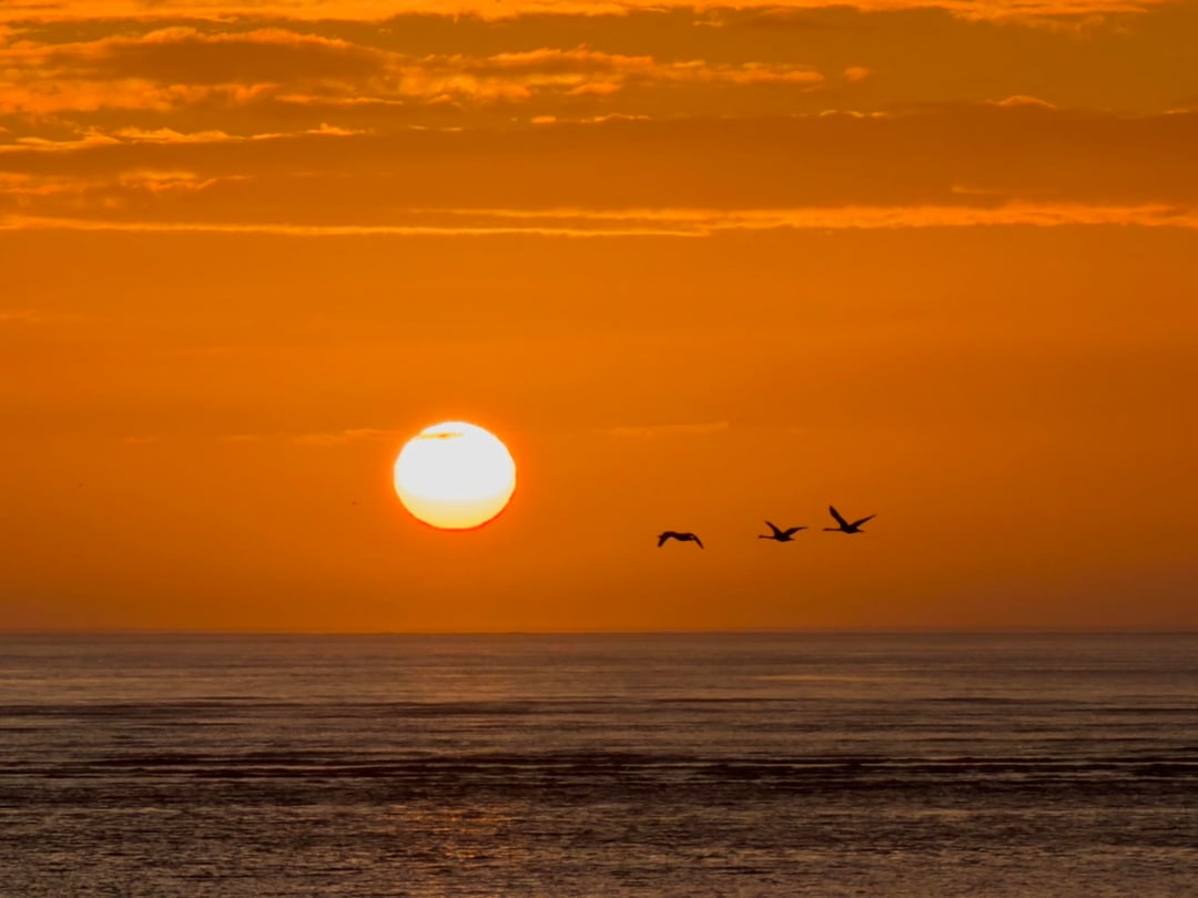 Sunset - Millennium Coastal Path - Llanelli