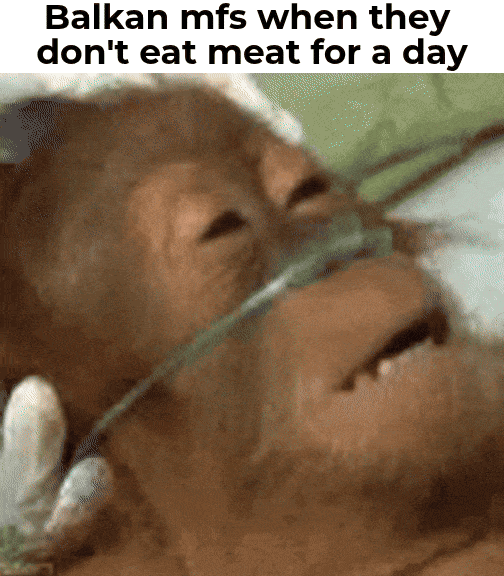 Malo špeka, šunkice, čvaraka na dan tjera doktora van