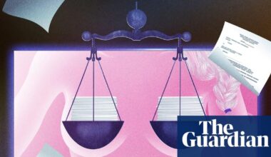 Rise of the ‘porno-trolls’: how one porn platform made millions suing its viewers