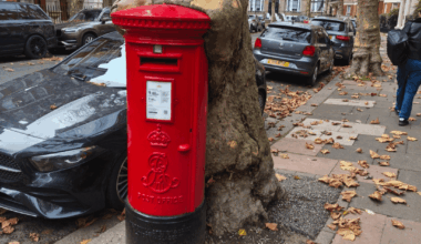 Tree hugging a postbox