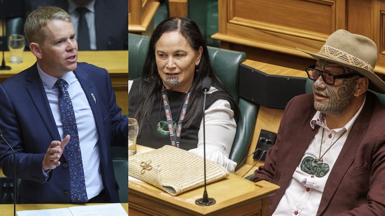 Hipkins again declined to comment on whether Labour would work with Te Pāti Māori but urged voters to vote Labour to deliver a "strong, stable government".