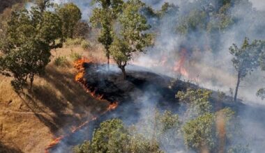 Huge wildfires reported in Iran’s Hirkanian forests, November 2025