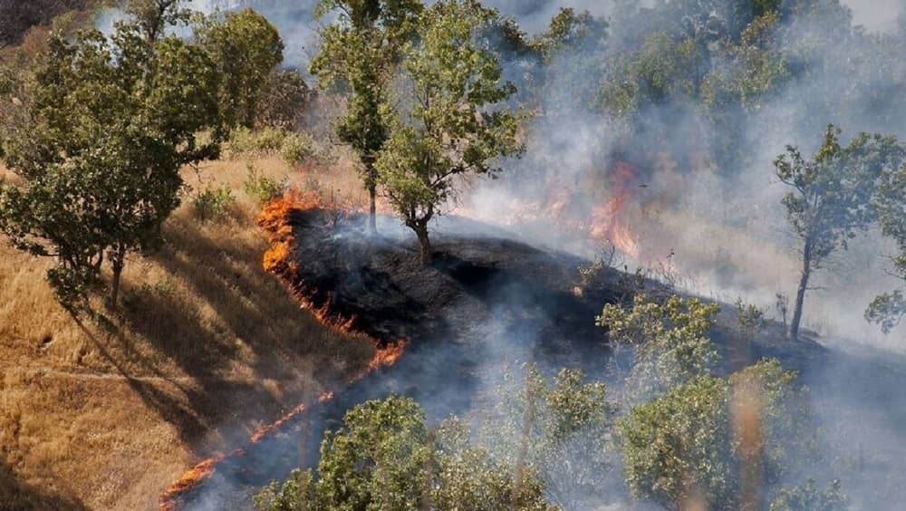Huge wildfires reported in Iran’s Hirkanian forests, November 2025