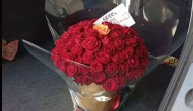 Did Iran place flowers in an Israeli nuclear scientist's car?