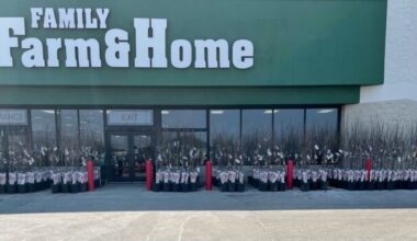 New businesses opening in Alpena | News, Sports, Jobs