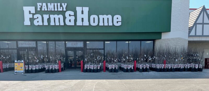 New businesses opening in Alpena | News, Sports, Jobs