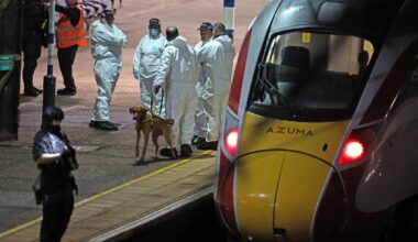 Man charged over mass stabbing also accused of attack on different train earlier