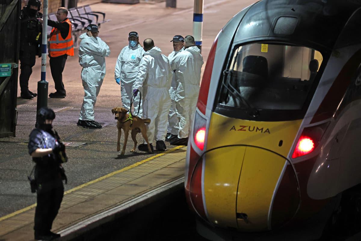 Man charged over mass stabbing also accused of attack on different train earlier