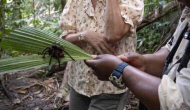 Sophie meets biggest tarantula in the world and more snaps from her trip to Peru