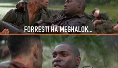 Halott választópolgároknak is küldött választási regisztrációs levelet a magyar állam Erdélybe