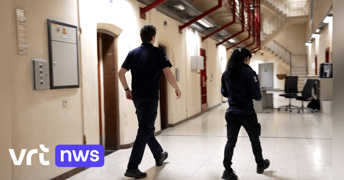 "Een leeuw die dagelijks 23 uur in een kooi zit, gaat bijten"