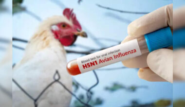 Bird Flu Outbreak Confirmed in Hungary Duck Farm as Virus Spread Intensifies in Europe, ETHealthworld