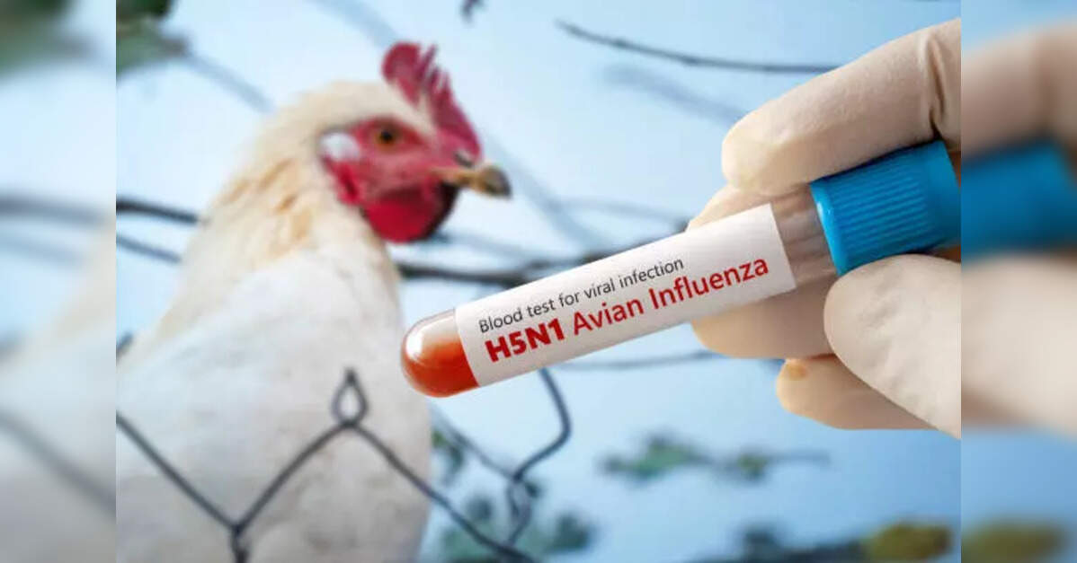 Bird Flu Outbreak Confirmed in Hungary Duck Farm as Virus Spread Intensifies in Europe, ETHealthworld