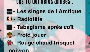 J'adore les singes de l'Arctique, et vous ?