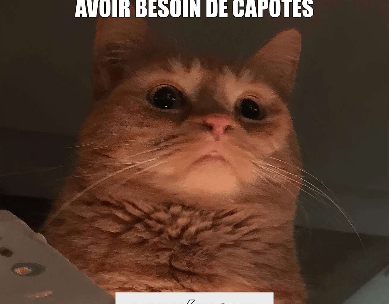 Mon portefeuille me dit "merci"