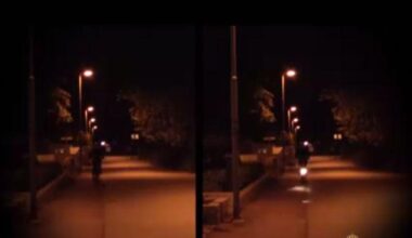 Sätt på er reflexer era uppstoppade pingviner