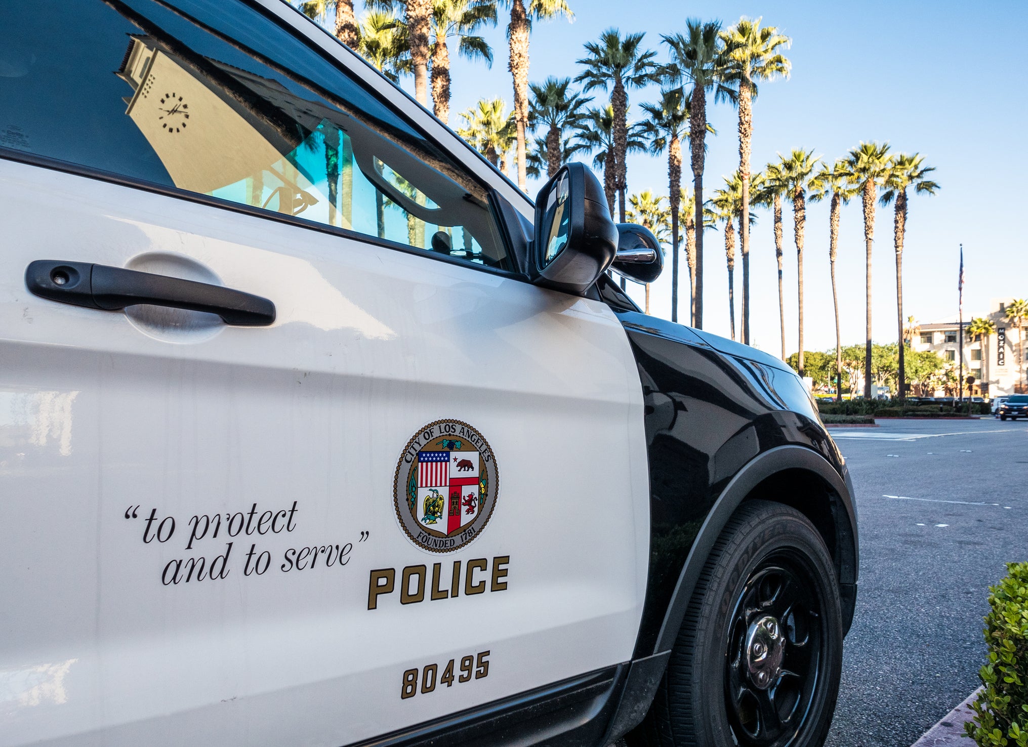 Gabby Ben, a convicted felon with alleged ties to the Israeli mob, and Eric Halem, a former LAPD police officer, were among a group of six men who Los Angeles police say abducted a 17-year-old and forced him to give up $350,000 worth of cryptocurrency