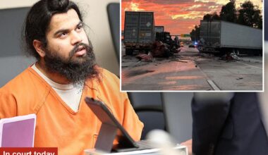 Illegal immigrant trucker accused of causing fatal California crash pleads not guilty