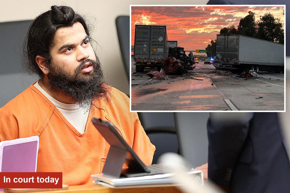 Illegal immigrant trucker accused of causing fatal California crash pleads not guilty