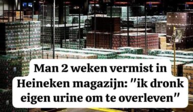 Now that you all understand Dutch