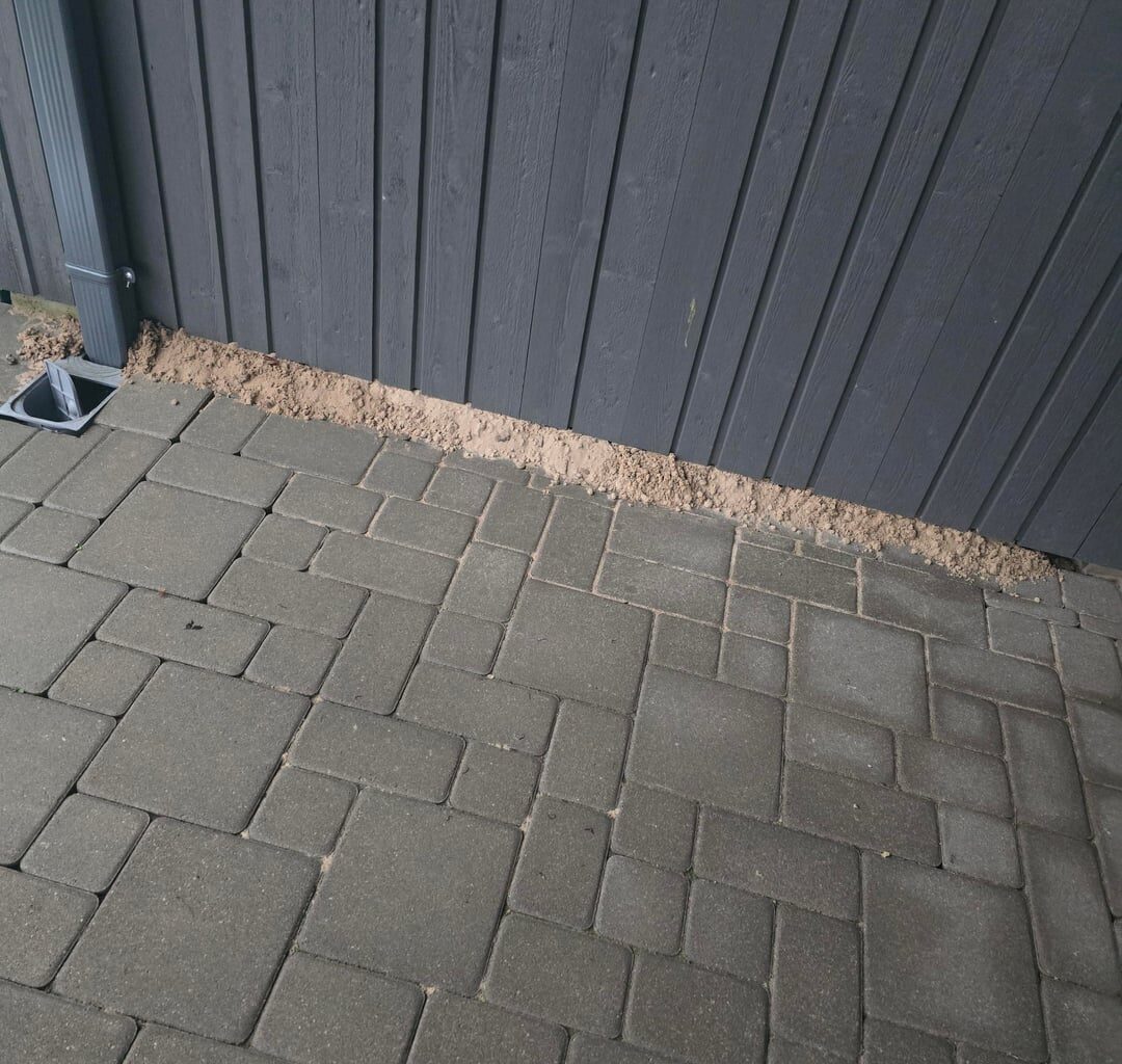 Is there an animal under my shed and should I be concerned?