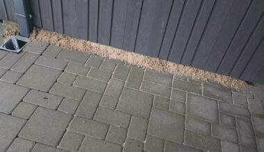 Is there an animal under my shed and should I be concerned?