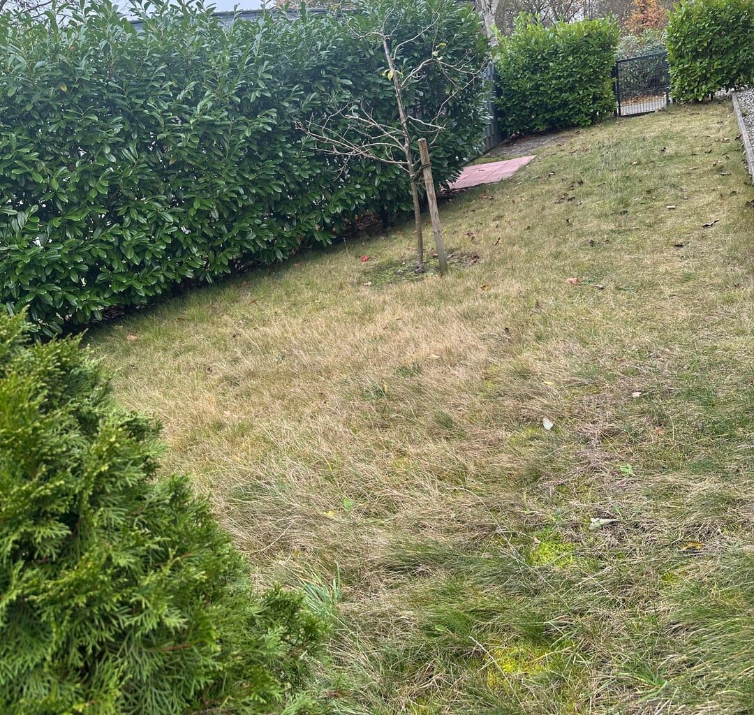 Neu in Deutschland und neu im Gartenbau