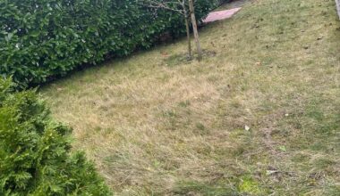 Neu in Deutschland und neu im Gartenbau