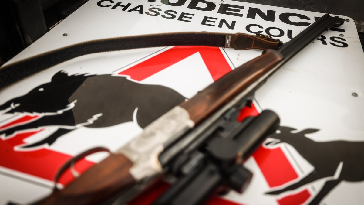 Immer wieder kommt es zu Konflikten zwischen Jägern und Privatleuten – sei es wegen einer Treibjagd nahe einer Siedlung oder einer offenbar unerwünschten Spaziergängerin mit ihren Hunden.