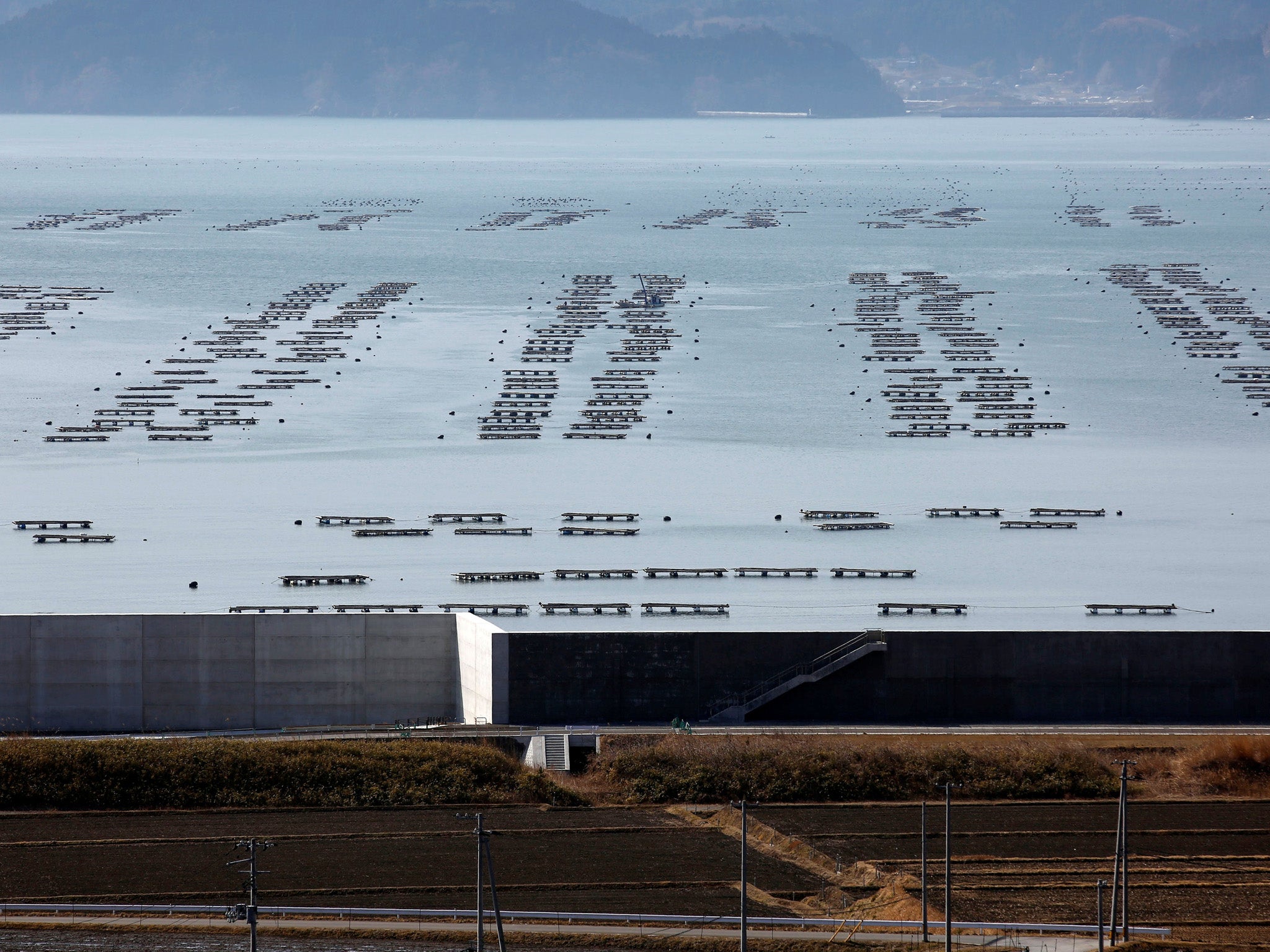 File. Oyster farm at Hirota Bay in Rikuzentakata, Iwate prefecture, Japan