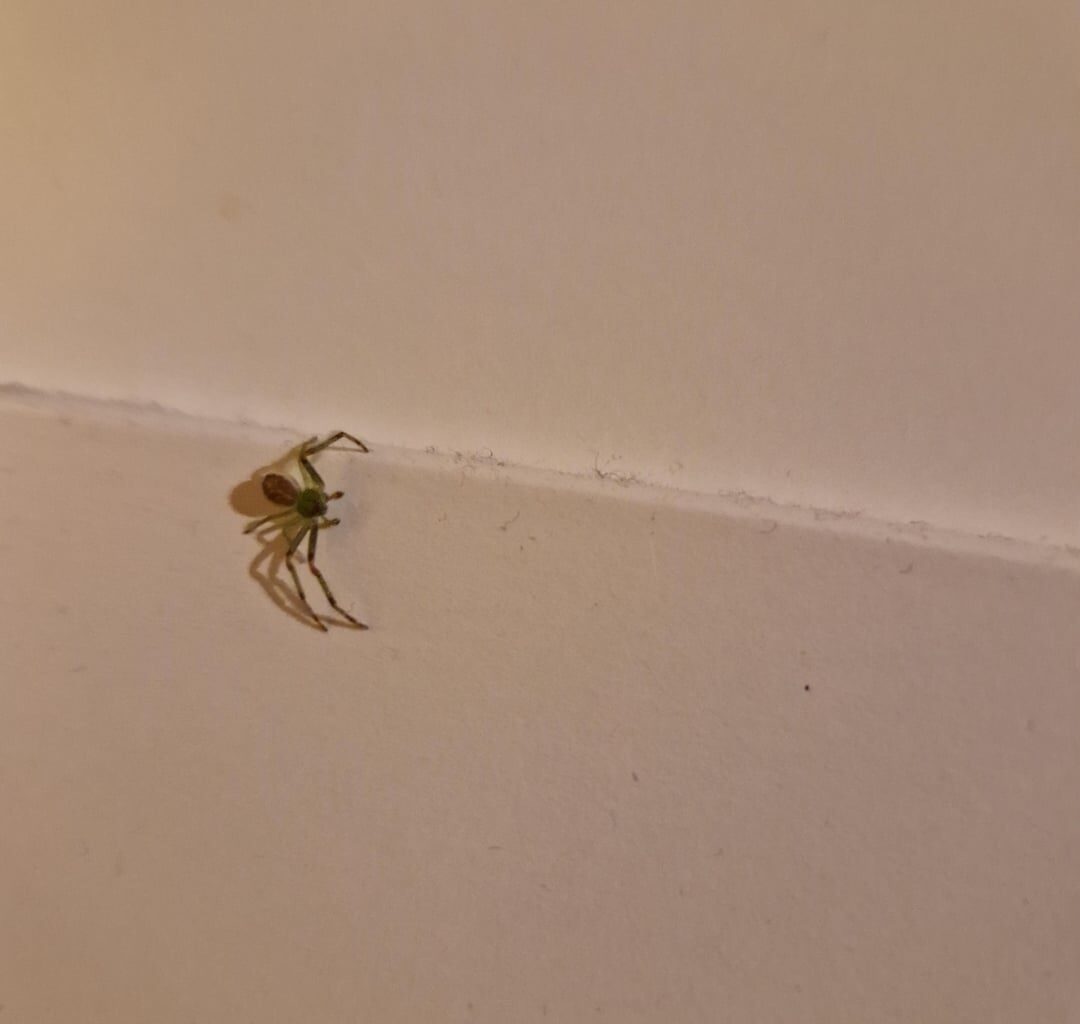 Wer ist der Kollege?