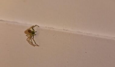 Wer ist der Kollege?