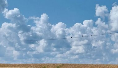 Suvalised Eesti vaated, mis tekitasid minus rõõmu, et ma elus olen (kuigi olen kehv kaameramees)