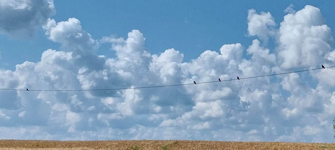 Suvalised Eesti vaated, mis tekitasid minus rõõmu, et ma elus olen (kuigi olen kehv kaameramees)