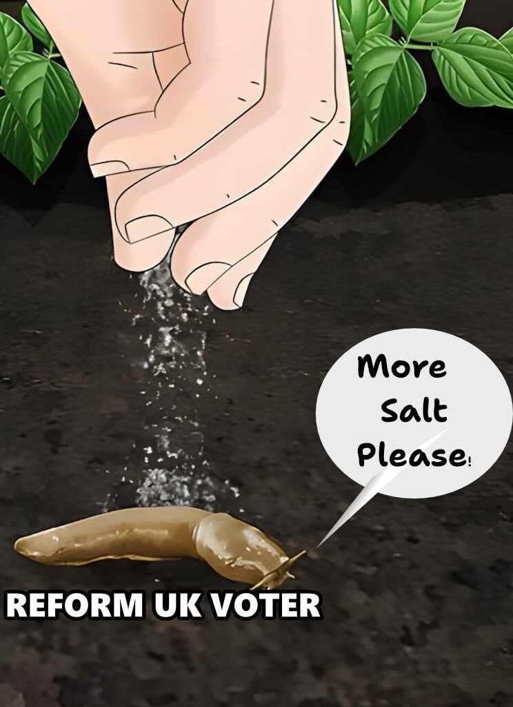 Why do they do this to themselves?