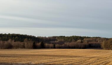 Ha Det, miss you already