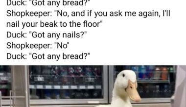 I think it's time for a laugh