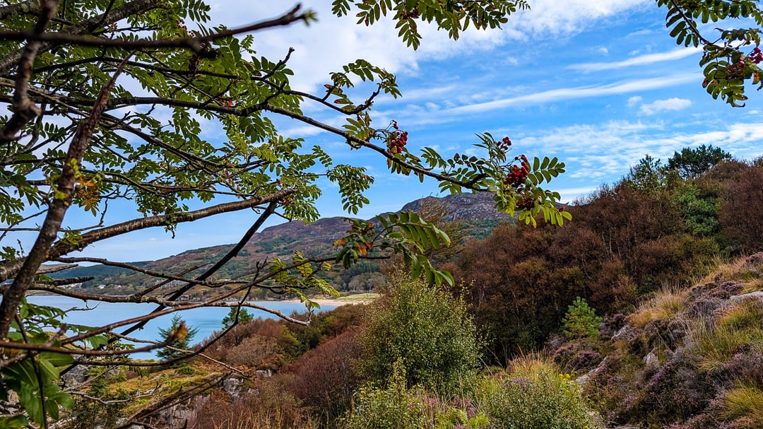 Autumn in Scotland always delivers