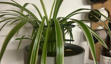 Wie würdet ihr da weitermachen?