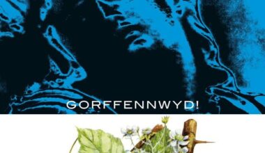 Mynediad am Ddim & Sidan - Goffrennwyd! (1976) | I found a pretty rare folk rock album. It's got some good songs on it! It is incorrectly credited as an album by a group named Goffrennwyd, but it is actually a collaborative album between two prior-listed Welsh groups.