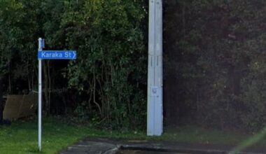 Weapons, explosive device and ketamine found at Takapuna address