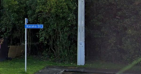 Weapons, explosive device and ketamine found at Takapuna address